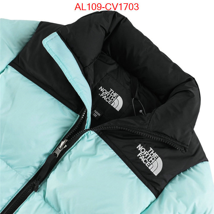 Kids clothing-The North Face buying replica ID: CV1703 $: 109USD