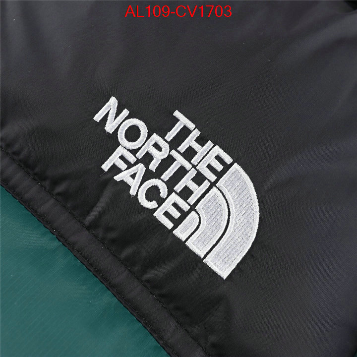 Kids clothing-The North Face buying replica ID: CV1703 $: 109USD