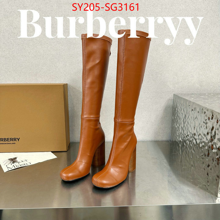 Women Shoes-Boots replica for cheap ID: SG3161 $: 205USD