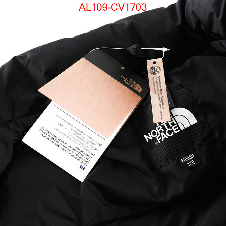 Kids clothing-The North Face buying replica ID: CV1703 $: 109USD