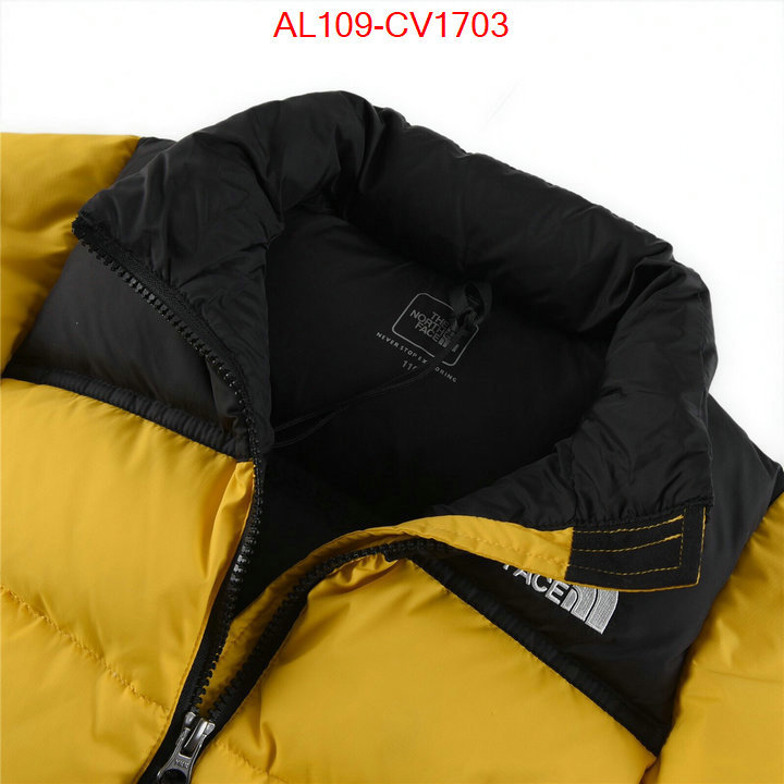 Kids clothing-The North Face buying replica ID: CV1703 $: 109USD