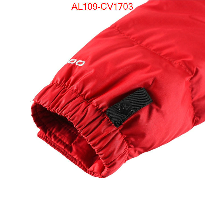 Kids clothing-The North Face buying replica ID: CV1703 $: 109USD