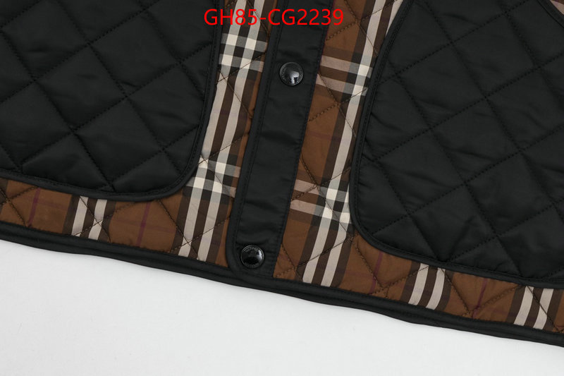 Clothing-Burberry wholesale imitation designer replicas ID: CG2239 $: 85USD