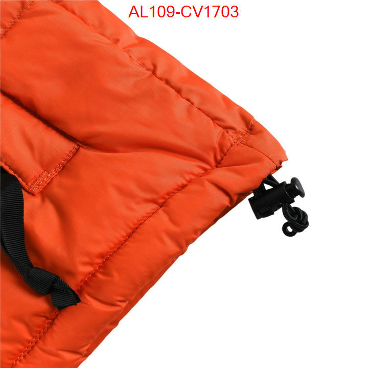 Kids clothing-The North Face buying replica ID: CV1703 $: 109USD