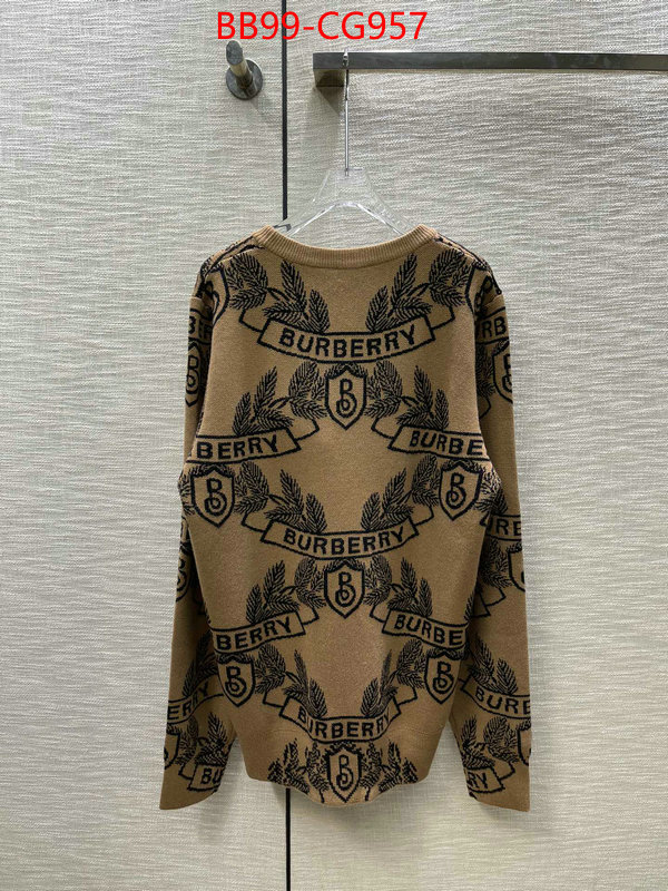 Clothing-Burberry 2023 replica ID: CG957 $: 99USD