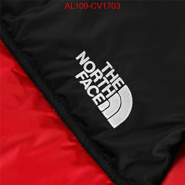 Kids clothing-The North Face buying replica ID: CV1703 $: 109USD