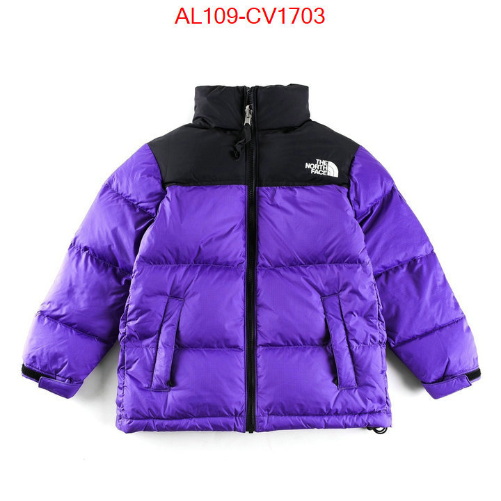 Kids clothing-The North Face buying replica ID: CV1703 $: 109USD