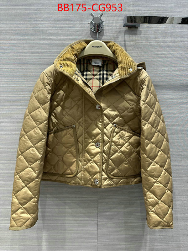 Down jacket Women-Burberry fashion ID: CG953 $: 175USD