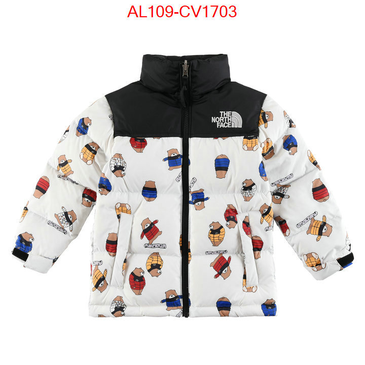 Kids clothing-The North Face buying replica ID: CV1703 $: 109USD