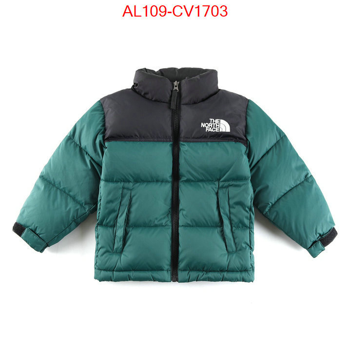 Kids clothing-The North Face buying replica ID: CV1703 $: 109USD