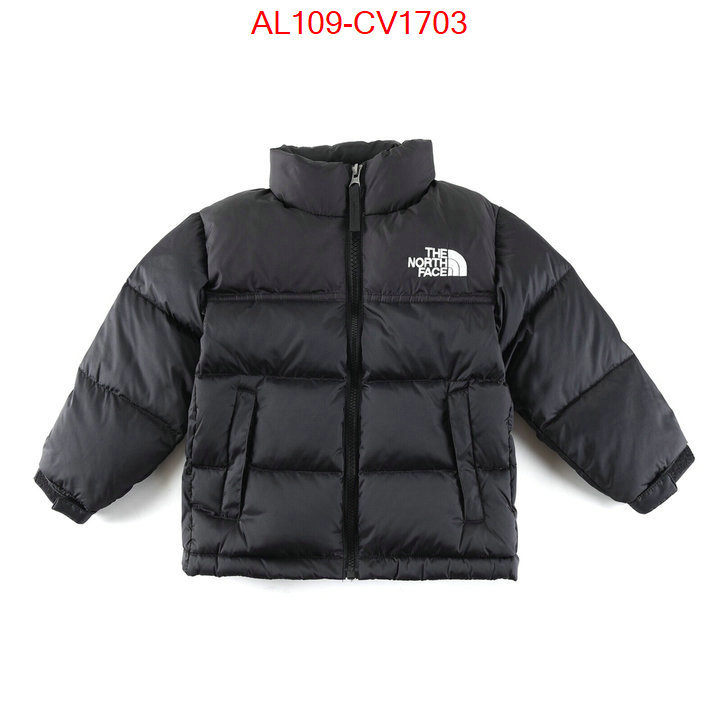 Kids clothing-The North Face buying replica ID: CV1703 $: 109USD