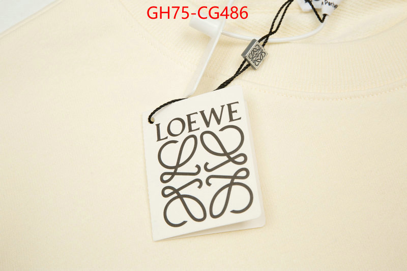 Clothing-Loewe aaaaa replica ID: CG486 $: 75USD