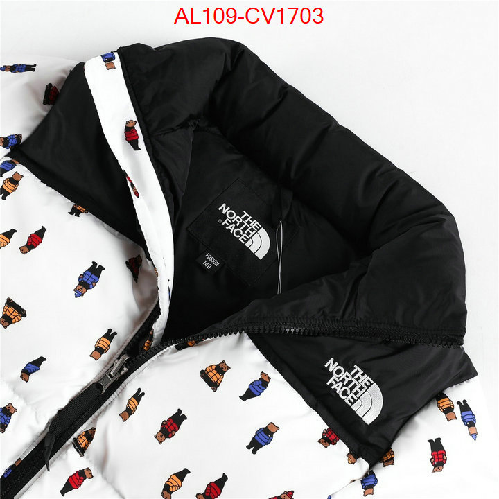 Kids clothing-The North Face buying replica ID: CV1703 $: 109USD