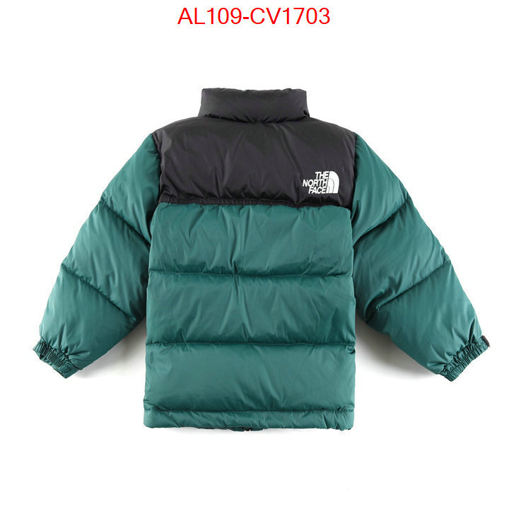 Kids clothing-The North Face buying replica ID: CV1703 $: 109USD