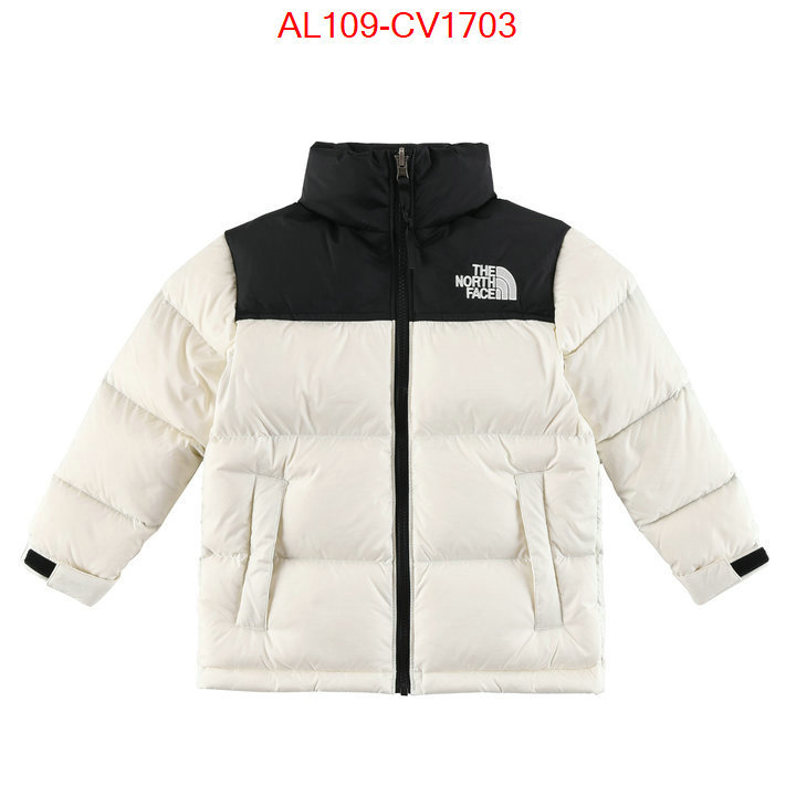 Kids clothing-The North Face buying replica ID: CV1703 $: 109USD