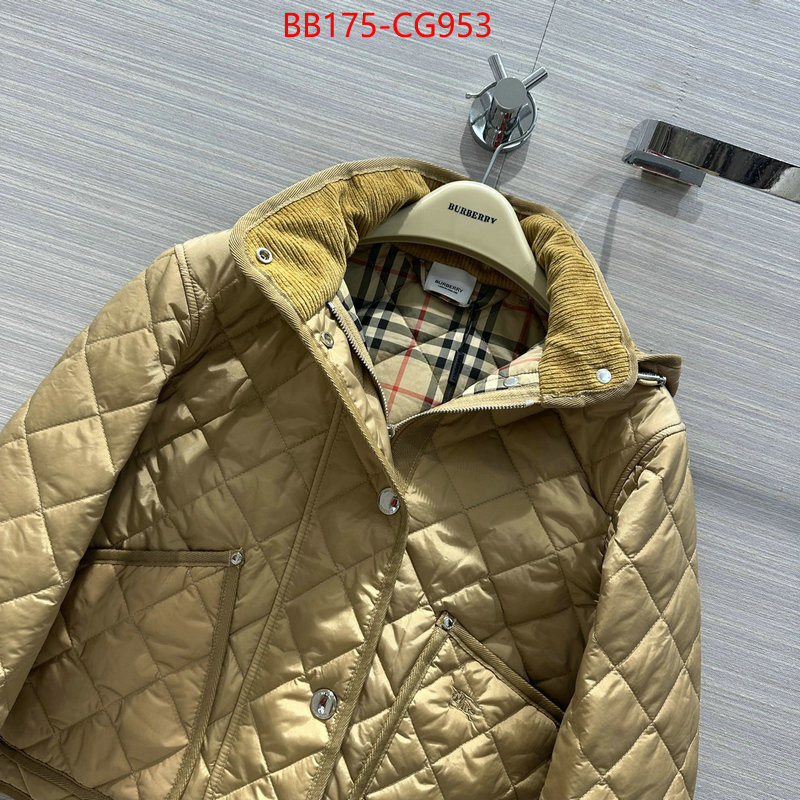 Down jacket Men-Burberry fake ID: CG953 $: 175USD