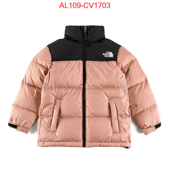 Kids clothing-The North Face buying replica ID: CV1703 $: 109USD