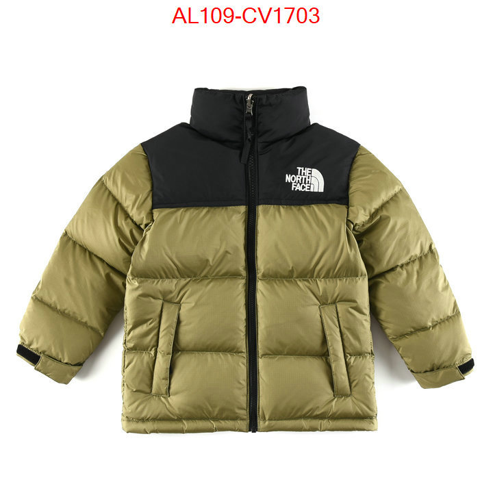 Kids clothing-The North Face buying replica ID: CV1703 $: 109USD