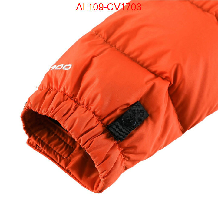 Kids clothing-The North Face buying replica ID: CV1703 $: 109USD