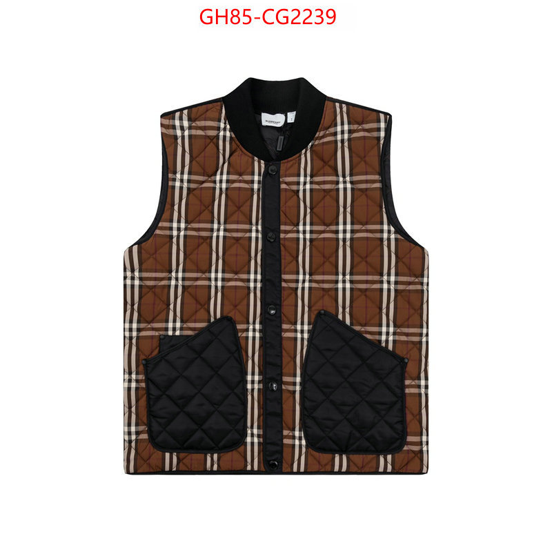 Clothing-Burberry wholesale imitation designer replicas ID: CG2239 $: 85USD