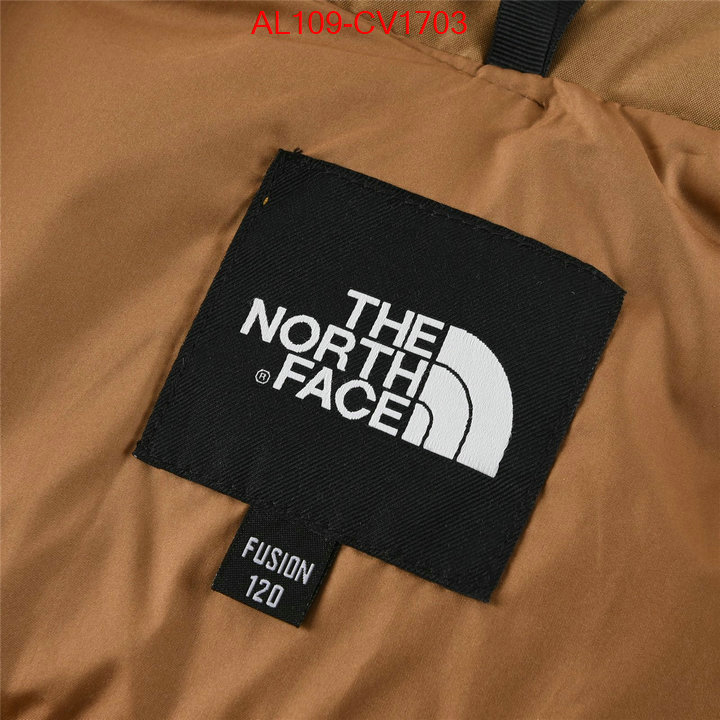 Kids clothing-The North Face buying replica ID: CV1703 $: 109USD