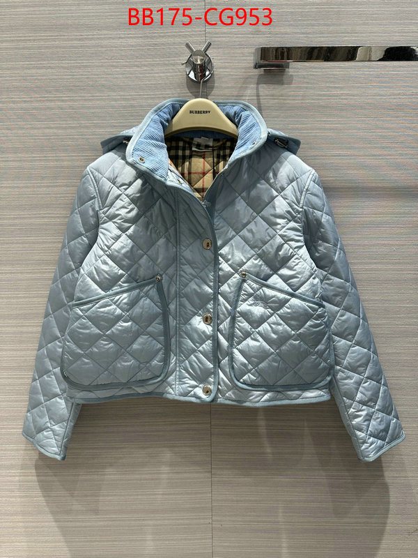 Down jacket Men-Burberry fake ID: CG953 $: 175USD