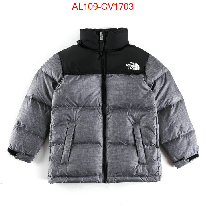 Kids clothing-The North Face buying replica ID: CV1703 $: 109USD