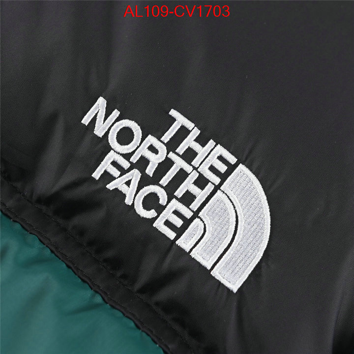 Kids clothing-The North Face buying replica ID: CV1703 $: 109USD