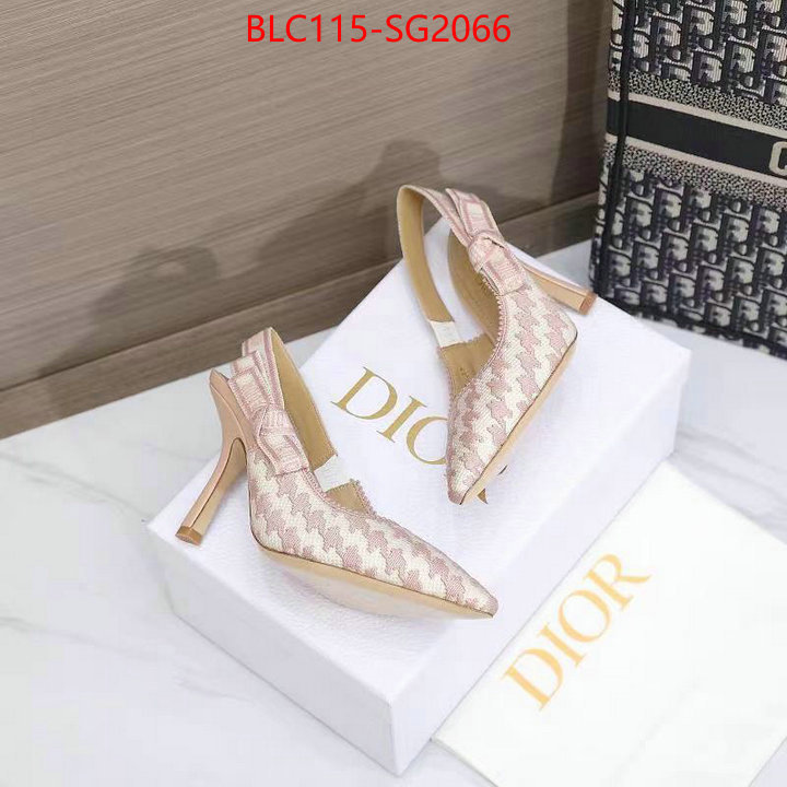 Women Shoes-Dior quality aaaaa replica ID: SG2066 $: 115USD