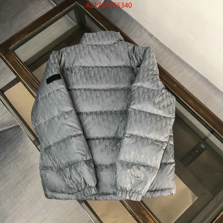 Down jacket Women-Dior best knockoff ID: CG5340 $: 175USD