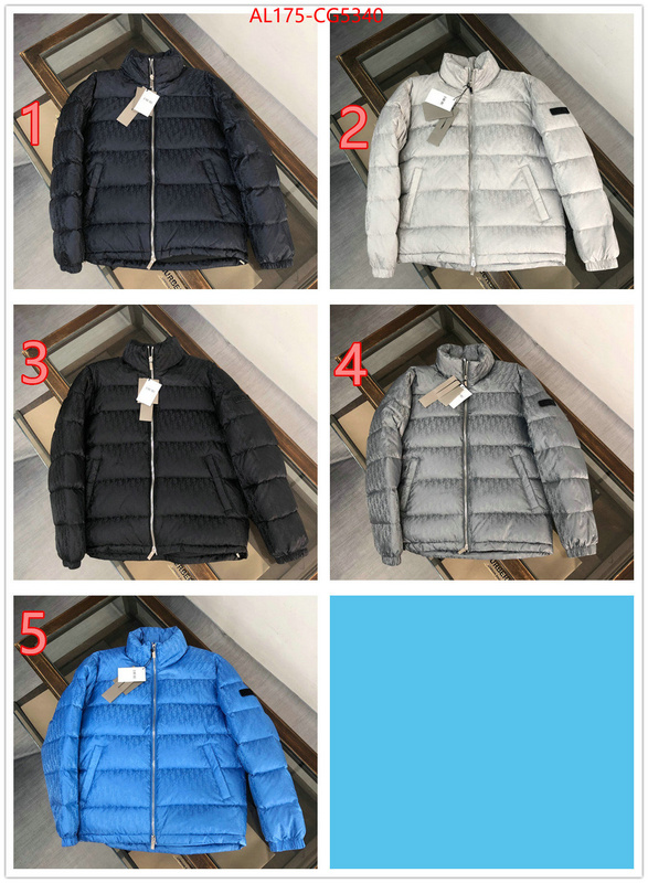 Down jacket Women-Dior best knockoff ID: CG5340 $: 175USD