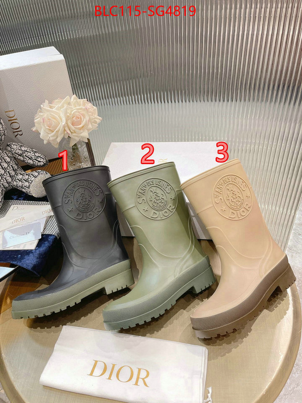 Women Shoes-Boots buy cheap replica ID: SG4819 $: 115USD