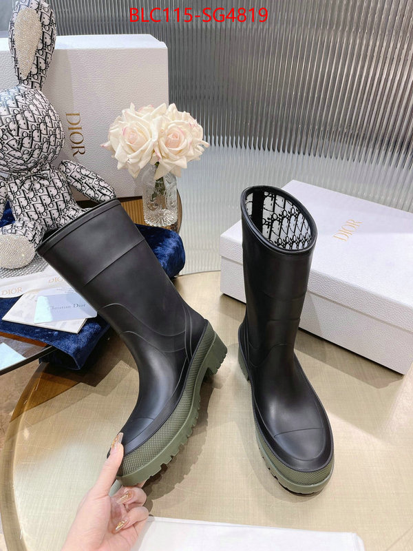 Women Shoes-Boots buy cheap replica ID: SG4819 $: 115USD