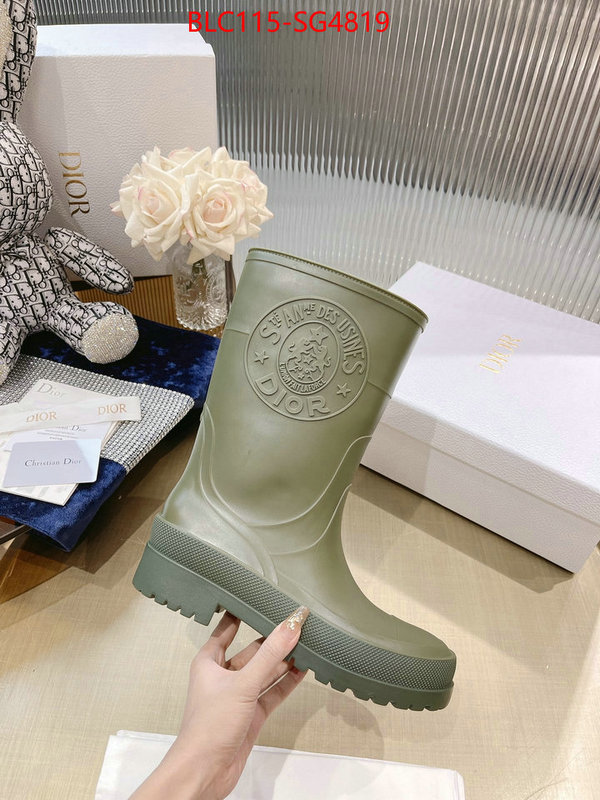 Women Shoes-Boots buy cheap replica ID: SG4819 $: 115USD