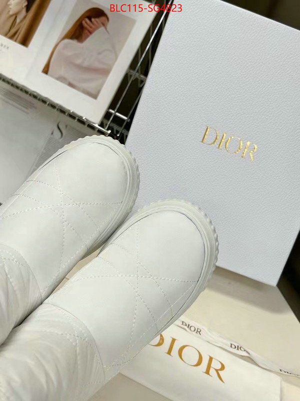 Women Shoes-Dior replica how can you ID: SG4823 $: 115USD