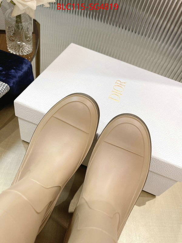 Women Shoes-Dior at cheap price ID: SG4819 $: 115USD