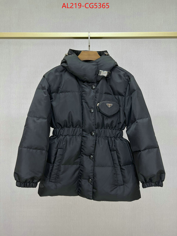 Down jacket Women-Prada highest quality replica ID: CG5365 $: 219USD