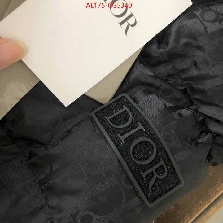 Down jacketMen-Dior wholesale replica ID: CG5340 $: 175USD