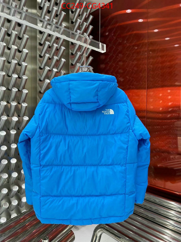 Down jacket Women-The North Face 2023 replica wholesale cheap sales online ID: CG4341 $: 249USD