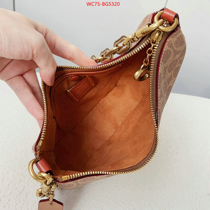 Coach Bags(4A)-Diagonal for sale online ID: BG5320 $: 75USD,