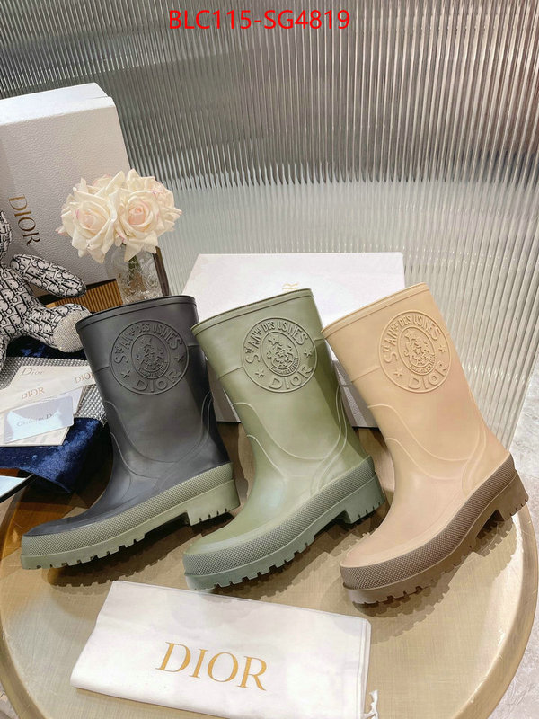 Women Shoes-Boots buy cheap replica ID: SG4819 $: 115USD