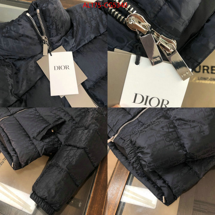 Down jacket Women-Dior best knockoff ID: CG5340 $: 175USD