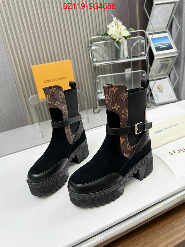 Women Shoes-Boots for sale cheap now ID: SG4688 $: 119USD