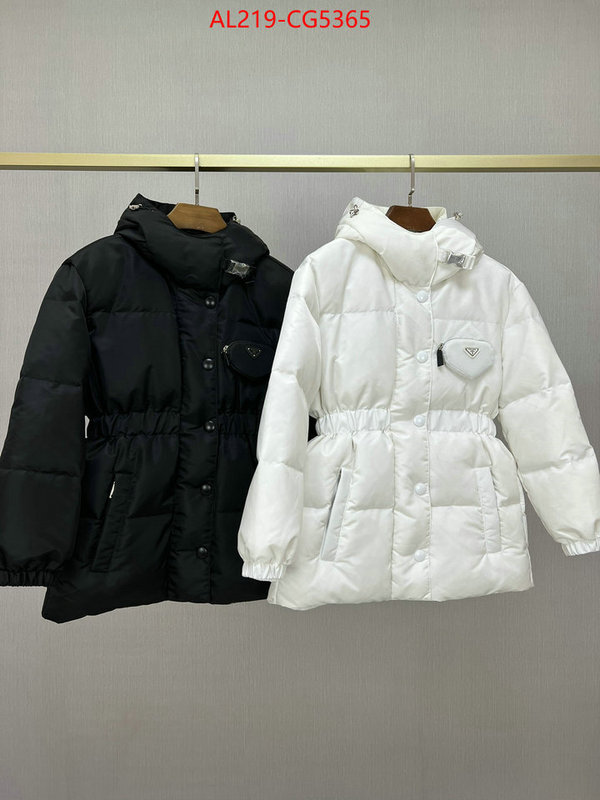 Down jacket Women-Prada highest quality replica ID: CG5365 $: 219USD