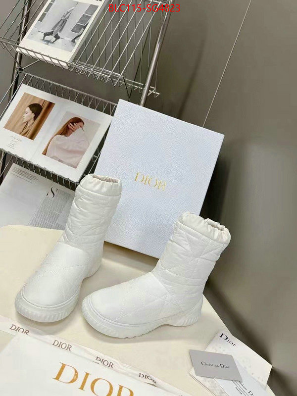 Women Shoes-Dior replica how can you ID: SG4823 $: 115USD