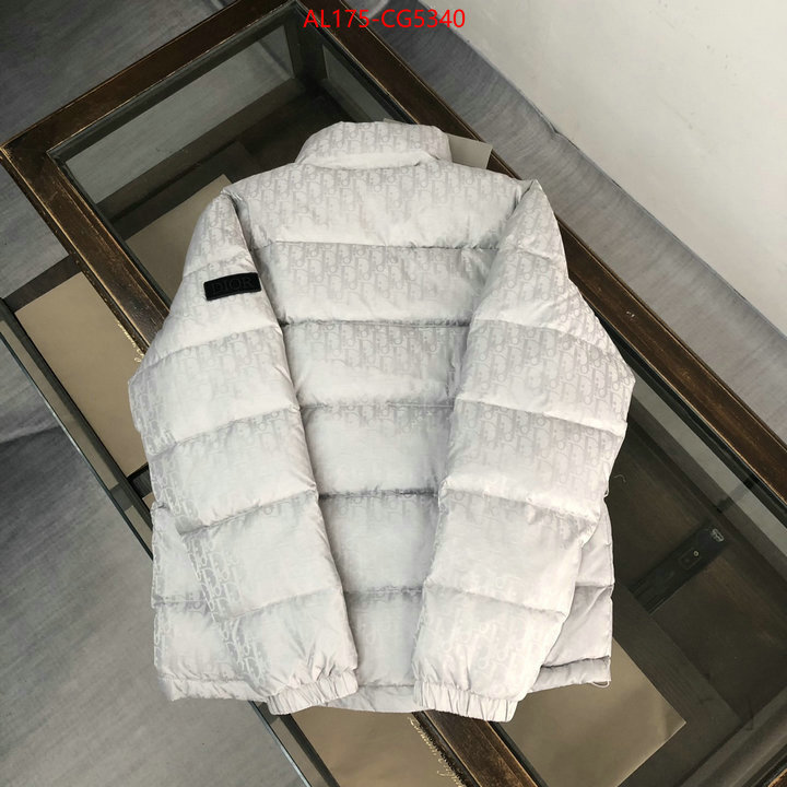 Down jacket Women-Dior best knockoff ID: CG5340 $: 175USD