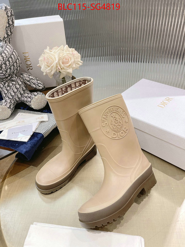 Women Shoes-Boots buy cheap replica ID: SG4819 $: 115USD