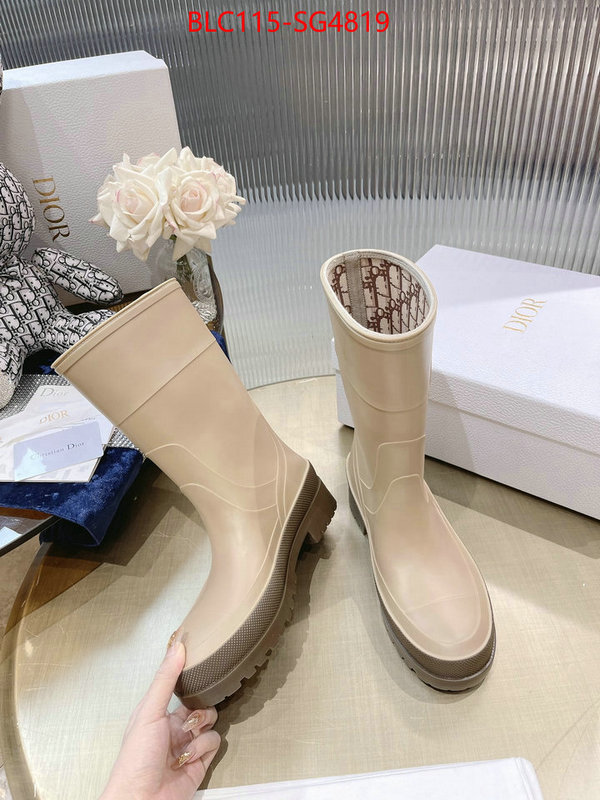Women Shoes-Dior at cheap price ID: SG4819 $: 115USD