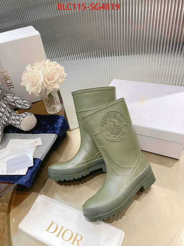 Women Shoes-Boots buy cheap replica ID: SG4819 $: 115USD