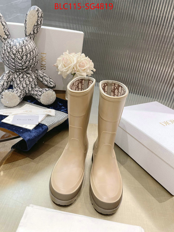 Women Shoes-Dior at cheap price ID: SG4819 $: 115USD